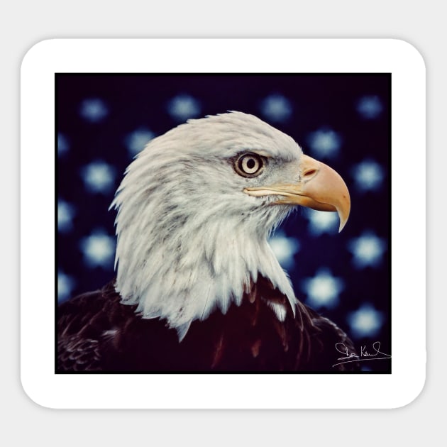 Eagle Symbol of Freedom, Majestic Bird Image Sticker by Art2Wear